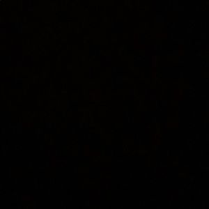 Meet your Posher, Noah